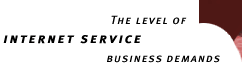 The Level of Internet Service Business Demands