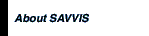 About SAVVIS