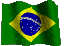 brasil.gif (32163 bytes)