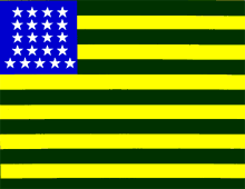 Bandeira pseudo-brasileira!