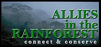 Allies in the Rainforest logo